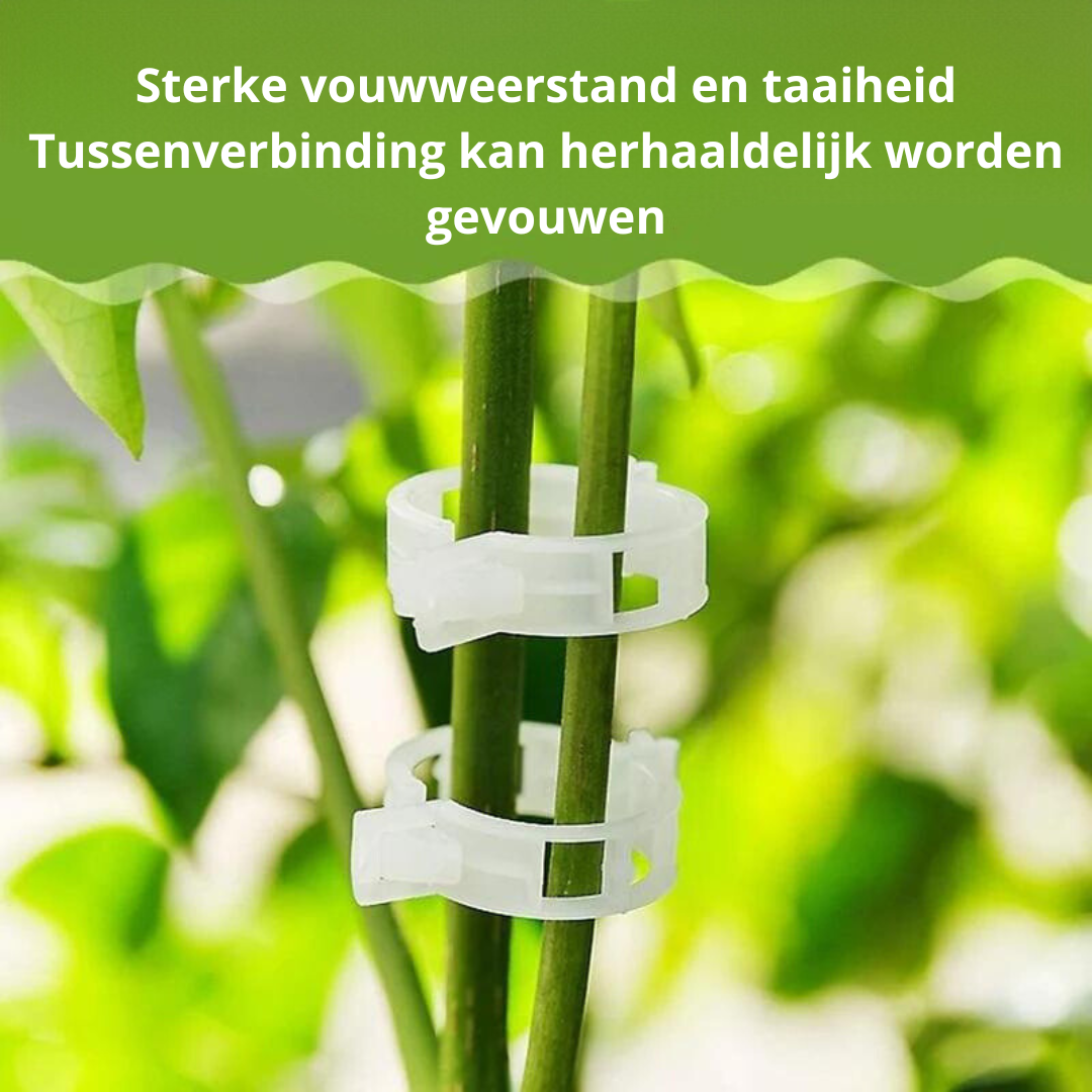 GrowGuard Plantensteun Clips (50 stuks)